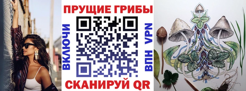 Псилоцибиновые грибы прущие грибы Меленки